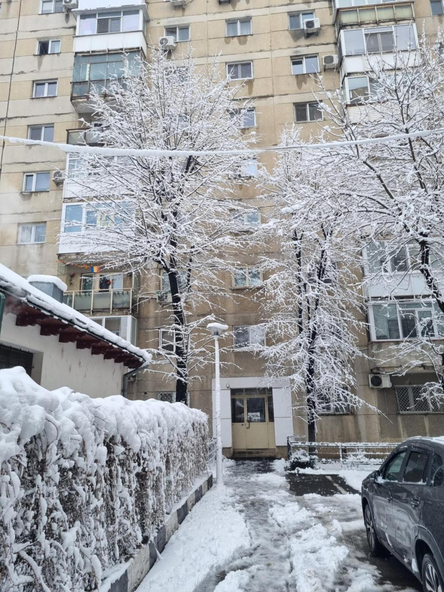 Thomas' Place -100m Parc Si Metrou Tineretului * Bucharest